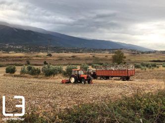 ΟΠΕΚΕΠΕ: Πότε θα δοθεί η προκαταβολή του τσεκ για τις αγροτικές επιδοτήσεις