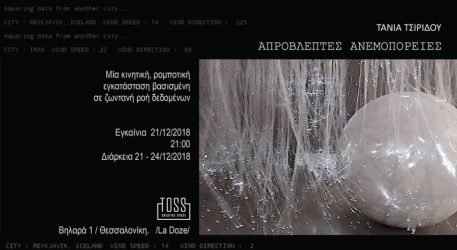 «Απρόβλεπτες ανεμοπορείες» της Τάνιας Τσιρίδου στην Toss Gallery