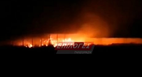 Σέρρες: Μεγάλη φωτιά σε κτηνοτροφική μονάδα στην Ηράκλεια (ΦΩΤΟ)