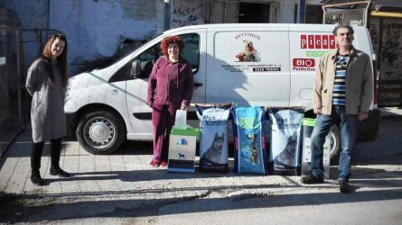 Δ. Ωραιοκάστρου: Πρόγραμμα σίτισης για τα αδέσποτα ζώα
