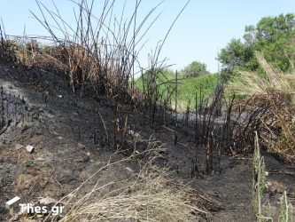 Εσβησε η πυρκαγιά στην Αίγινα!