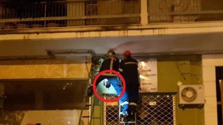 Παρέμβαση αναρχικών στο μαγαζί στη Θεσσαλονίκη που βρέθηκε… χτισμένο το γατάκι (ΒΙΝΤΕΟ)