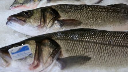 Υπάρχει στο λαβράκι και στη γλώσσα συσσώρευση φαρμακευτικών ουσιών;