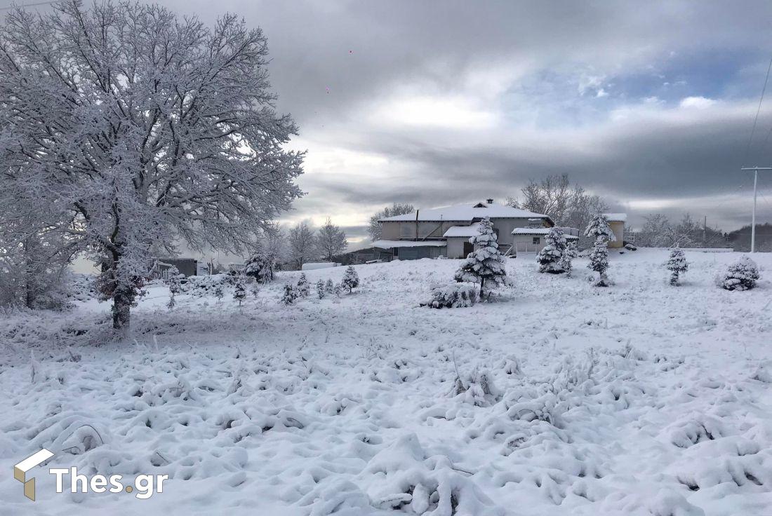 χιόνια Χαλκιδική κλειστά σχολεία