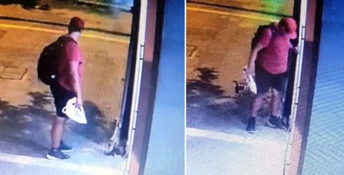 Θεσσαλονίκη: Επικήρυξαν με 3000 ευρώ τον άνδρα που πάτησε και σκότωσε γατάκι