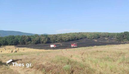 Xαλκιδική: Υπό μερικό έλεγχο η φωτιά κοντά στον οικισμό Βατοπέδι