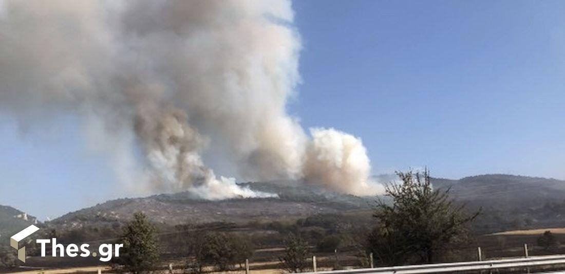 φωτιά Αλεξανδρούπολη πυροσβεστική