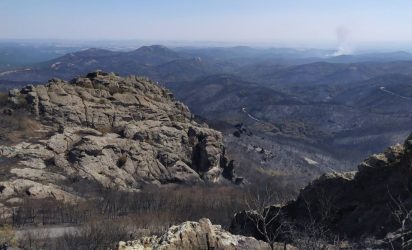 Φωτιά στον Εβρο: Το δάσος της Δαδιάς πριν και μετά – Αποκαρδιωτικές εικόνες (ΒΙΝΤΕΟ)