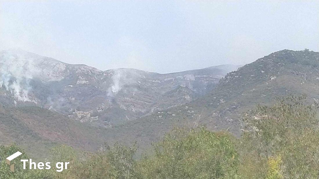 φωτιά Παγγαίο Ορος