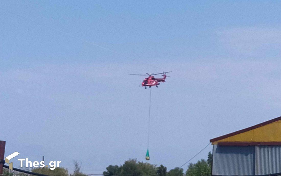 Παγγαίο Ορος φωτιά Πρώτη Σερρών Δήμος Αμφίπολης
