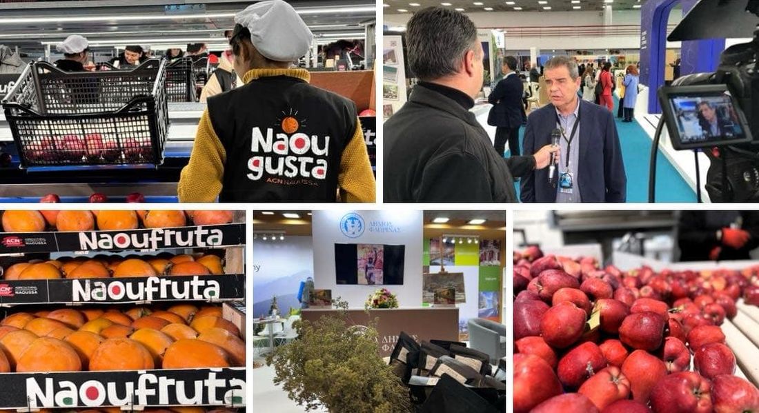 ΠαράγωΓΗΝ εκπομπή Νο9 Philoxenia ACN Αγροτικός Συνεταιρισμός Νάουσας TV100