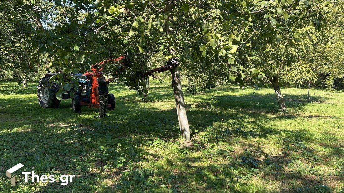 καρύδια Νερόμυλοι Πέλλας εκπομπή ΠαράγωΓΗΝ 